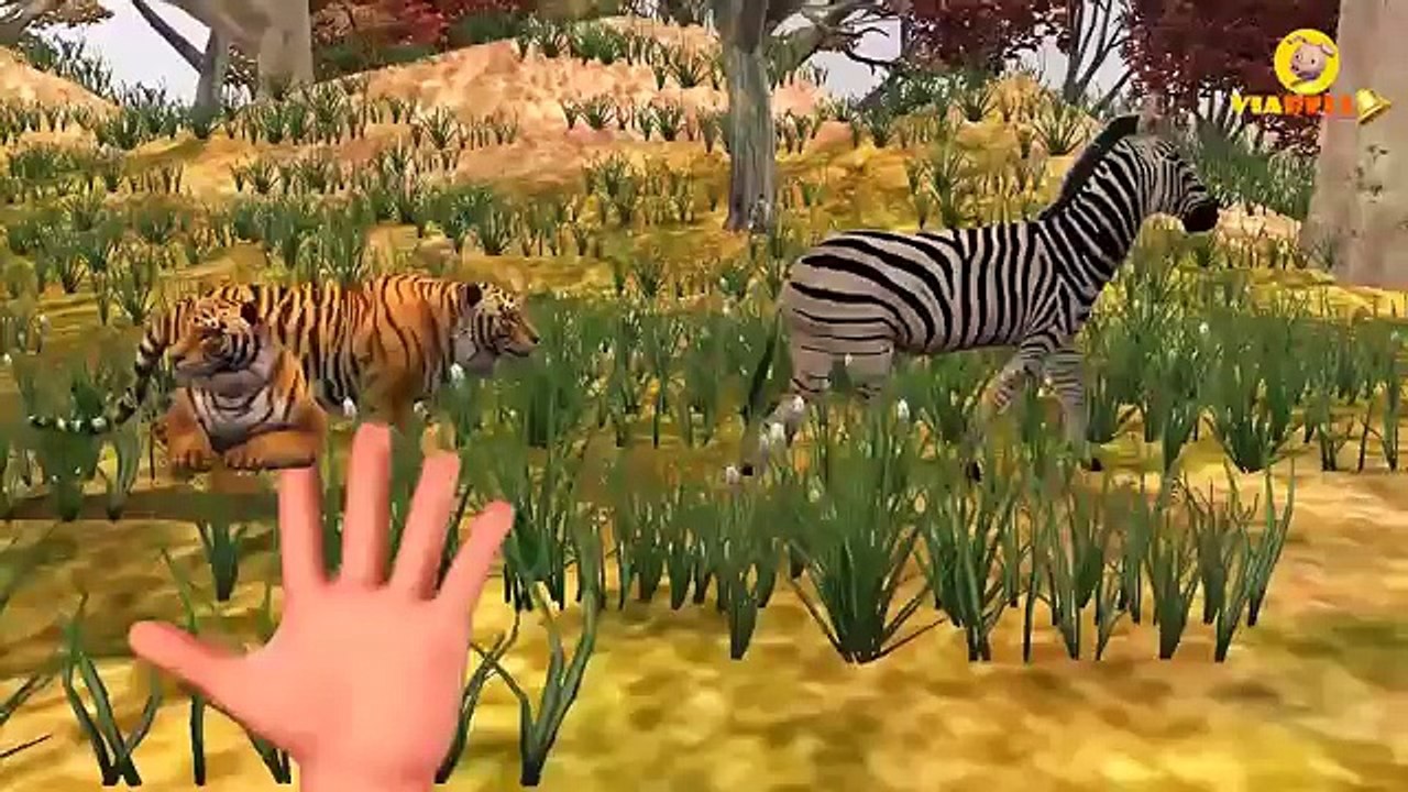 Little Baby Pig learning Colors with Dinosaurs | Animal Finger Family Nursery Rhymes for Kids