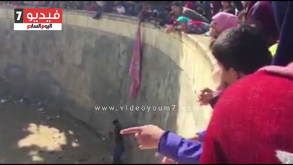 3 شباب يعتدون على "القرود" بحديقة حيوان الإسكندرية