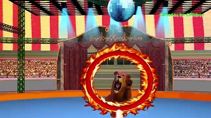 Angry Lion And Wild Tiger Animal Fight | Lion Vs Tiger Finger Family | Cartoon 3D Kids Nursery Song