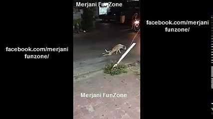 And the Oscar Award goes to....