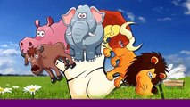 Wild Animals Finger Family Song | Wild Animals Cartoon Finger Family Nursery Rhymes For Children