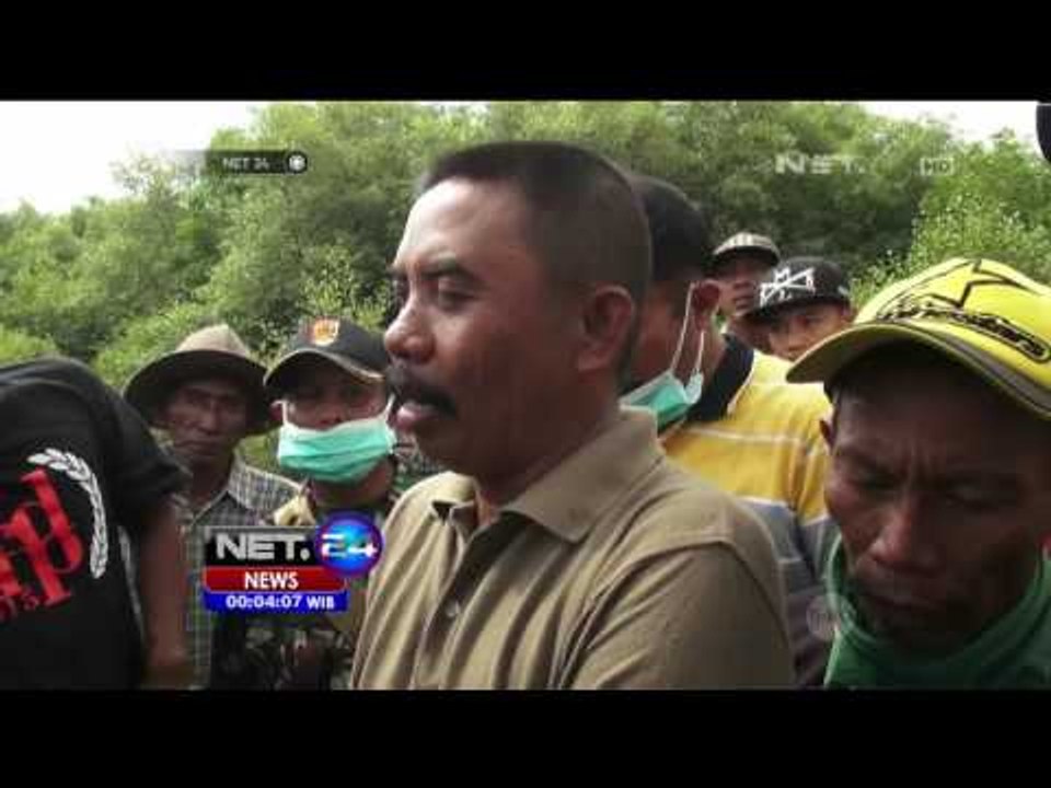 Proses Otopsi Tuntas 12 Paus Raksasa Dikubur Se...
