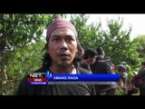 Warga Pesisir di Probolinggo di Kagetkan Oleh Puluhan PAus Terdampar - NET12