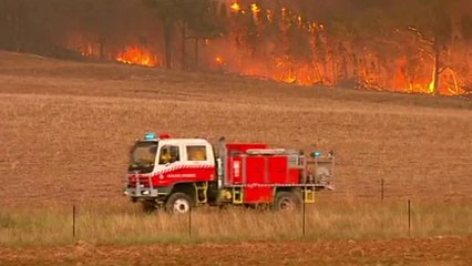 Emergenza incendi in Australia: colpito lo stato New South Wales