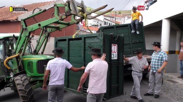 UMA DAS TOURADAS DO DVD Nª55 -4ª PARTE 2016 SERRA DA RIBEIRINHA ILHA TERCEIRA AÇORES-xsVKLaTsR78