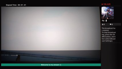 Welcome To The Pitts (4)