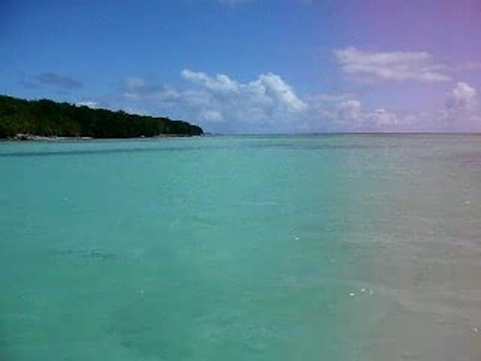 William en Guadeloupe (Saint-François] plage des Salines