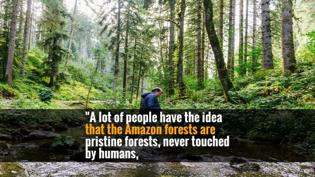 Long Before Making Enigmatic Earthworks, People Reshaped Brazil’s Rain Forest