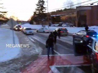 Pawan Kalyan fans cars Rally in USA