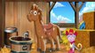 Dora the Explorer Full Episodes - Doras Pony Adventure | Dora Game Episodes for Children