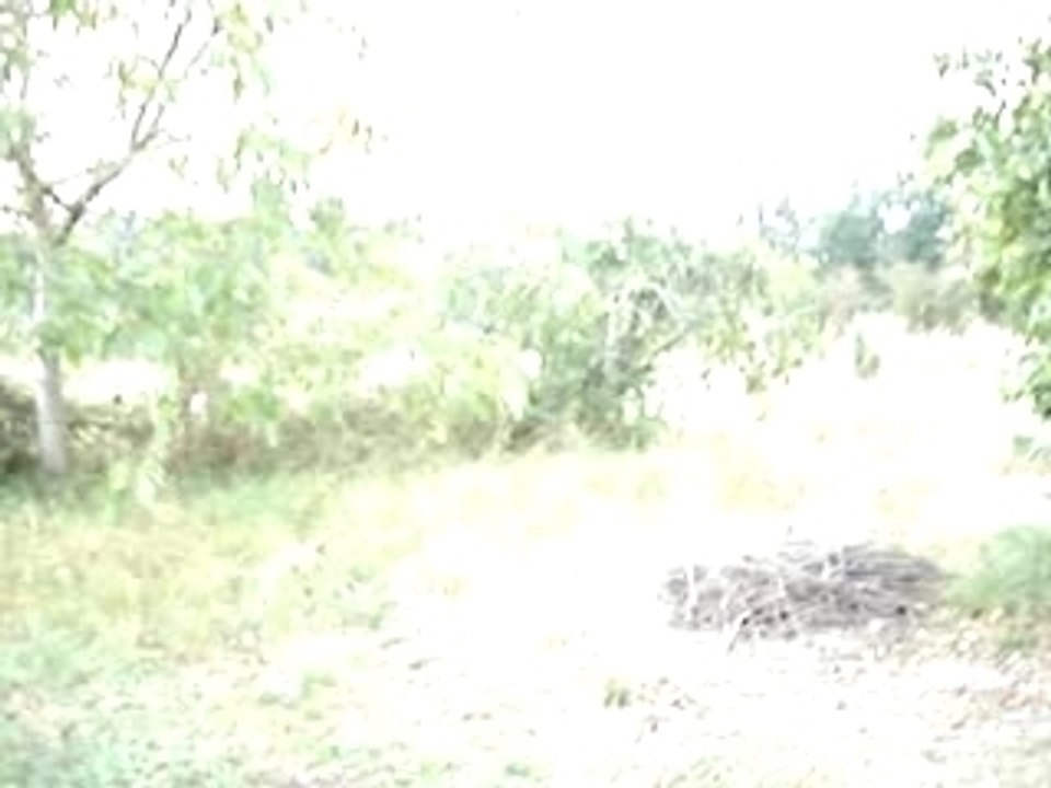 moto 1