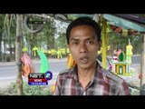 Perajin Ketupat Hias Banjir Pesanan - NET12