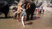 Une touriste se fait éclater par un éléphant...