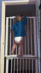 Regardez comment ce bébé s'échappe... En escaladant!