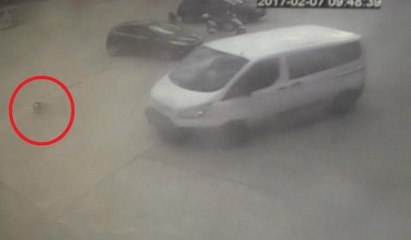 Yavru köpeklerin ezilme anı kamerada