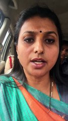 YSRCP MLA Roja Fire On CM Chandra Babu, Speakers