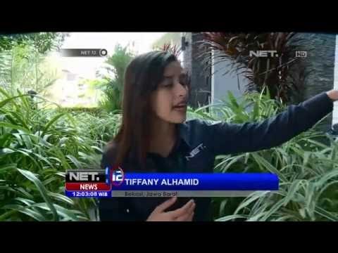 Anak Mengungsi, Rumah Tersangka Vaksin Palsu Sepi - NET12