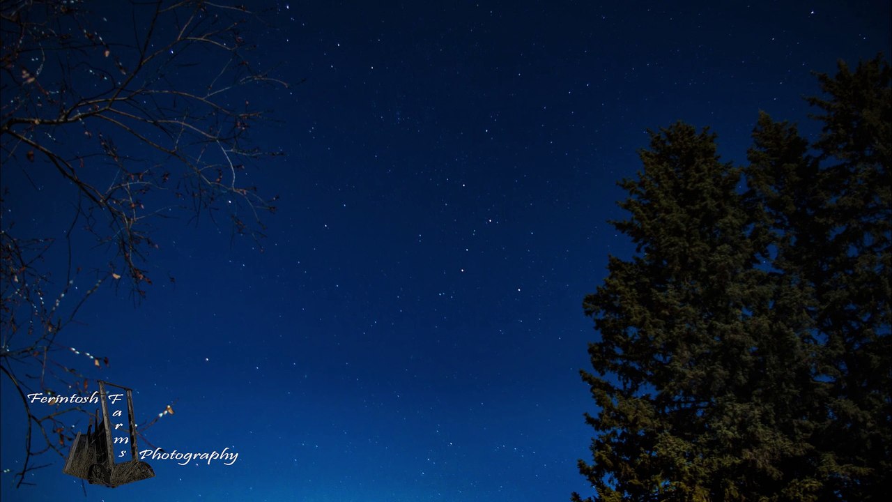 Cassiopeia Constelation with Pines in Alberta Music Diana Hughes - Nocturne in C minor, B. 108