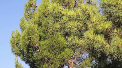 Spirit Sound Kroatien Folge 16 /Full Film/Complete Movie/Ganzer Film