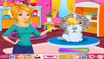 Animals and Pets Dress Up Cute Puppy Salon Online Video