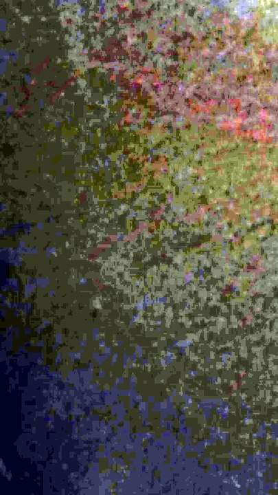 Teste Deilymotion