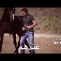 Arabic vs English Horse Trainer funny people compilation