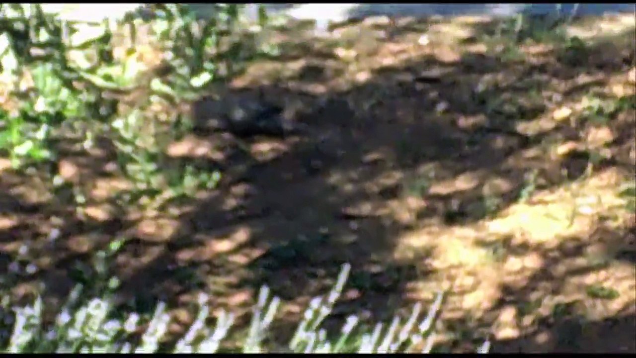 Spirit Sound Kroatien Folge 30 /Full Film/Complete Movie/Ganzer Film