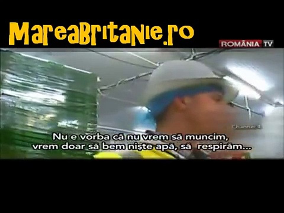 Românii, SCLAVI în străinătate pentru 2 euro pe oră. MOR pe capete și nimănui nu îi pasă. VIDEO ȘOCANT!