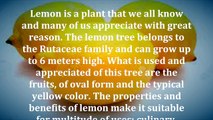 12. Find out why it's good to have 3 lemons broken at your table every night It will surprise you!