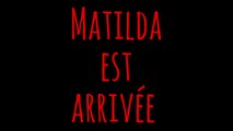 www.matilda.education la nouvelle plate-forme vidéo
