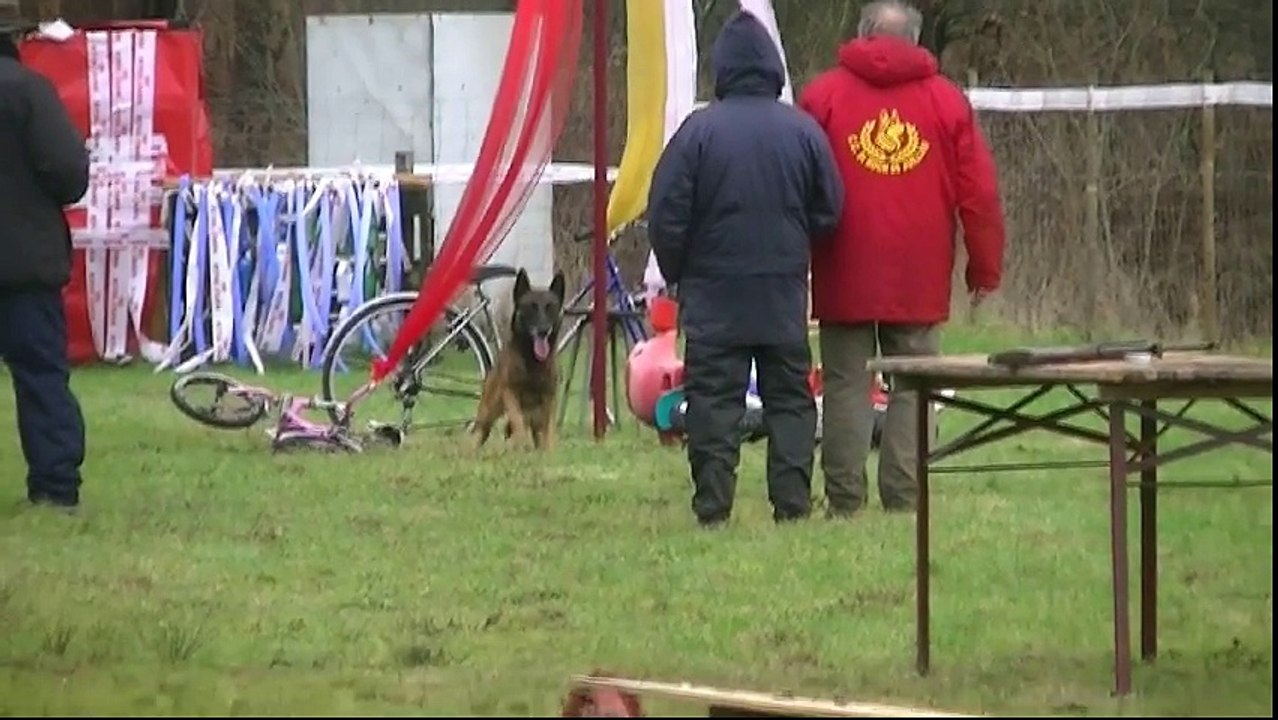 Gadjo, Mondioring 2, Saint Jean de Marsacq