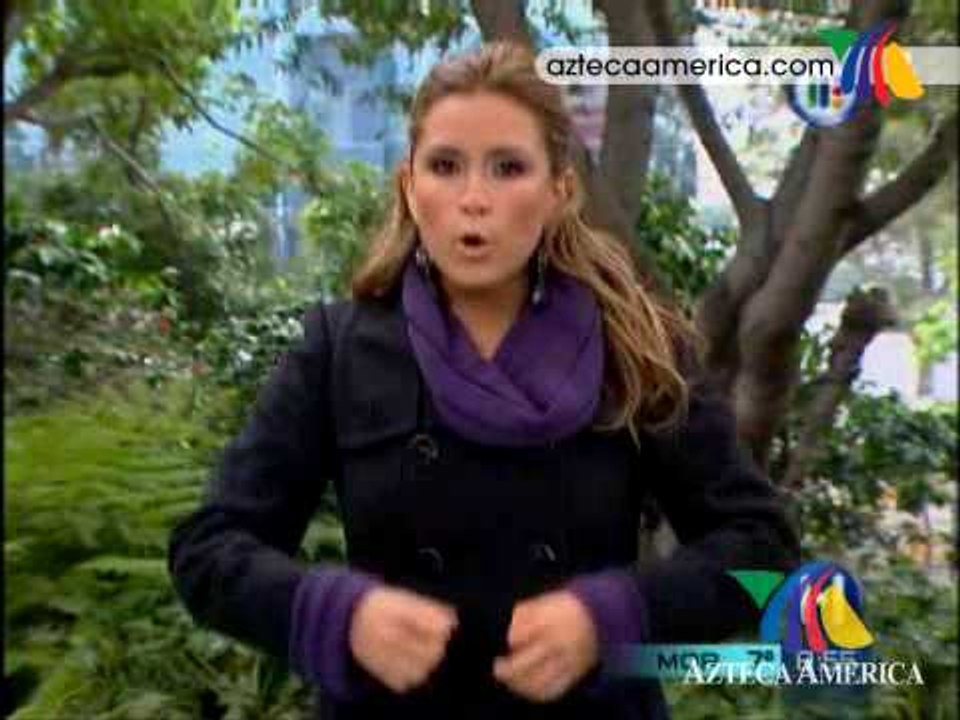 La opinión de los medios