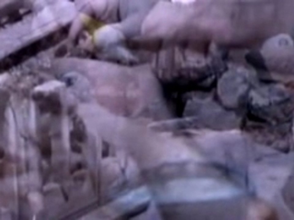Making Of Believe : The John 117 Monument