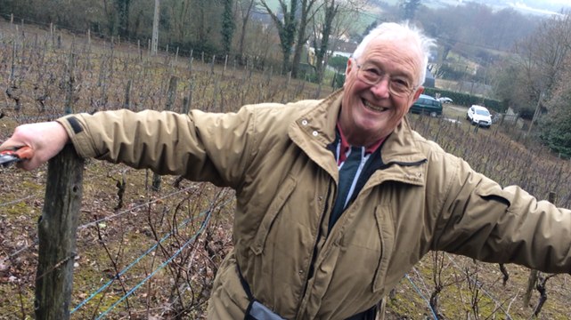Initiation à la taille des vignes