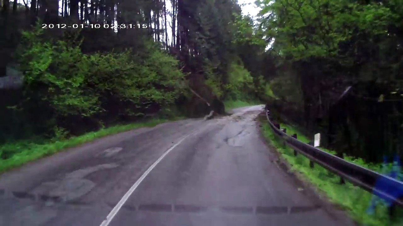 des arbres s'effrondrent sur une voiture en LIVE