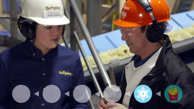 O fim do mistério veja como são feitas as batatas fritas do McDonald´s!