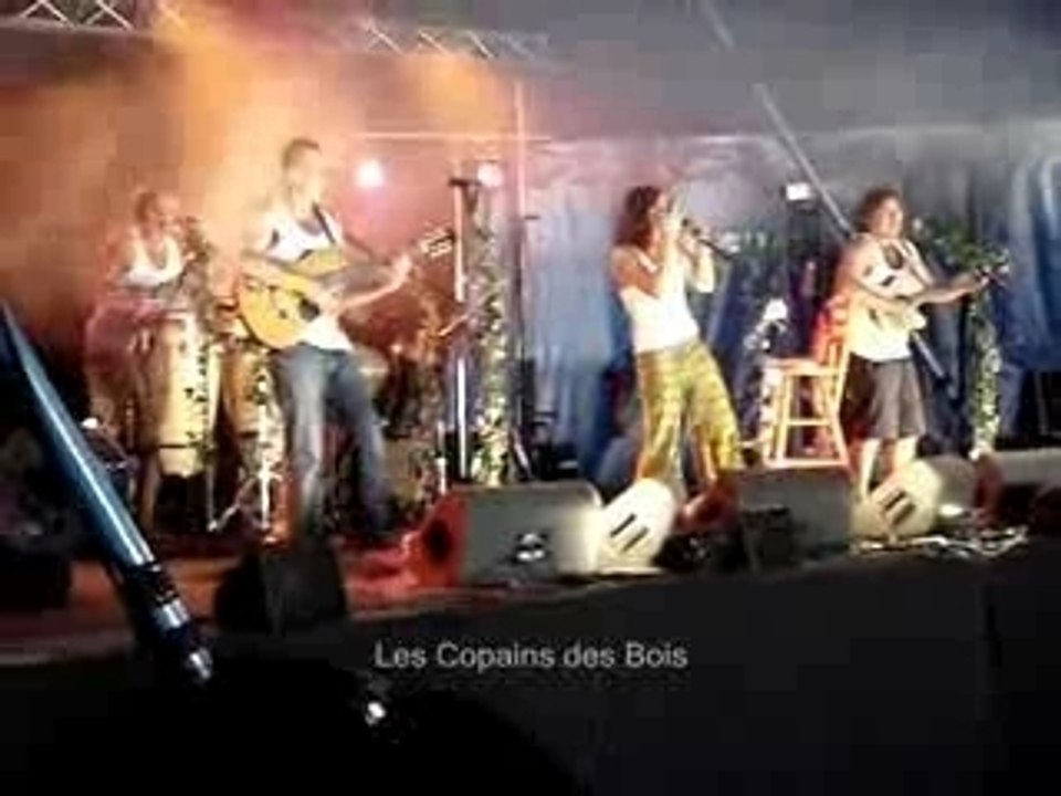 Les copains des bois - La doudou