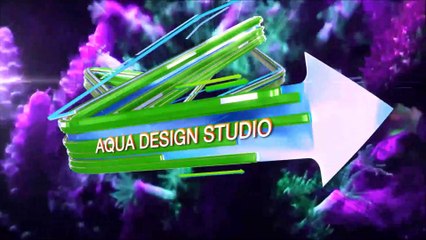 UNBOXING SKIMMER SKIMZ SN123