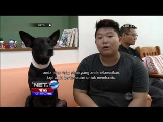 Puluhan Ribu Pengunjung Padati Kebun Binatang Pematang Siantar - NET5
