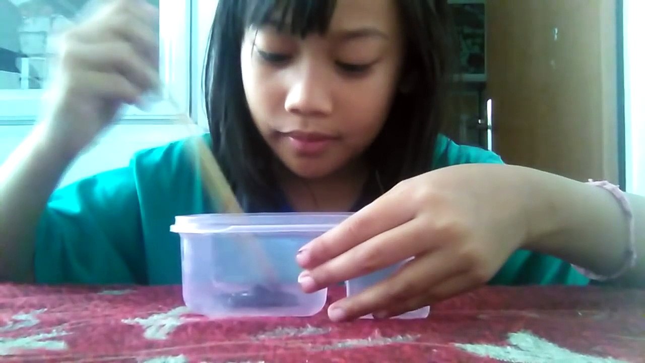 Cara membuat slime tanpa lem, deterjen,dan borax