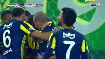 Moussa Sow penalty Goal HD - Bursaspor 0 - 1 Fenerbahce - 11.02.2017 HD