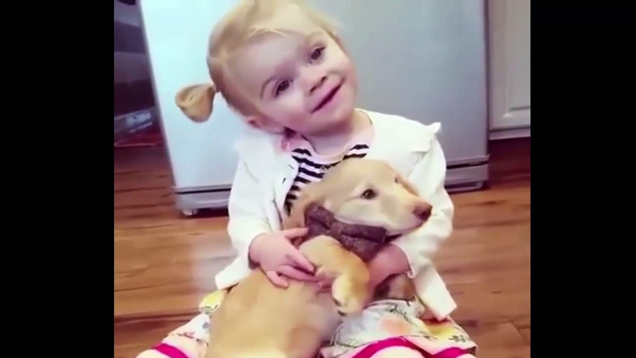 Funny dogs and babies compilation