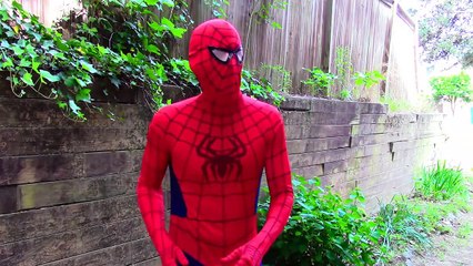 Spiderman Catwoman & Godzilla vs Zombie: Hide + Seek funny superhero video
