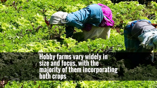 “I see people who have a lot of money go out and buy everything they need right away,