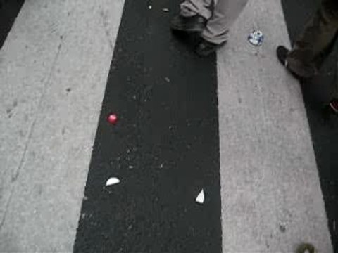 Techno Parade 2007 080