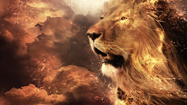 The Best of Jamaican Reggae Reggae Romântico Internacional