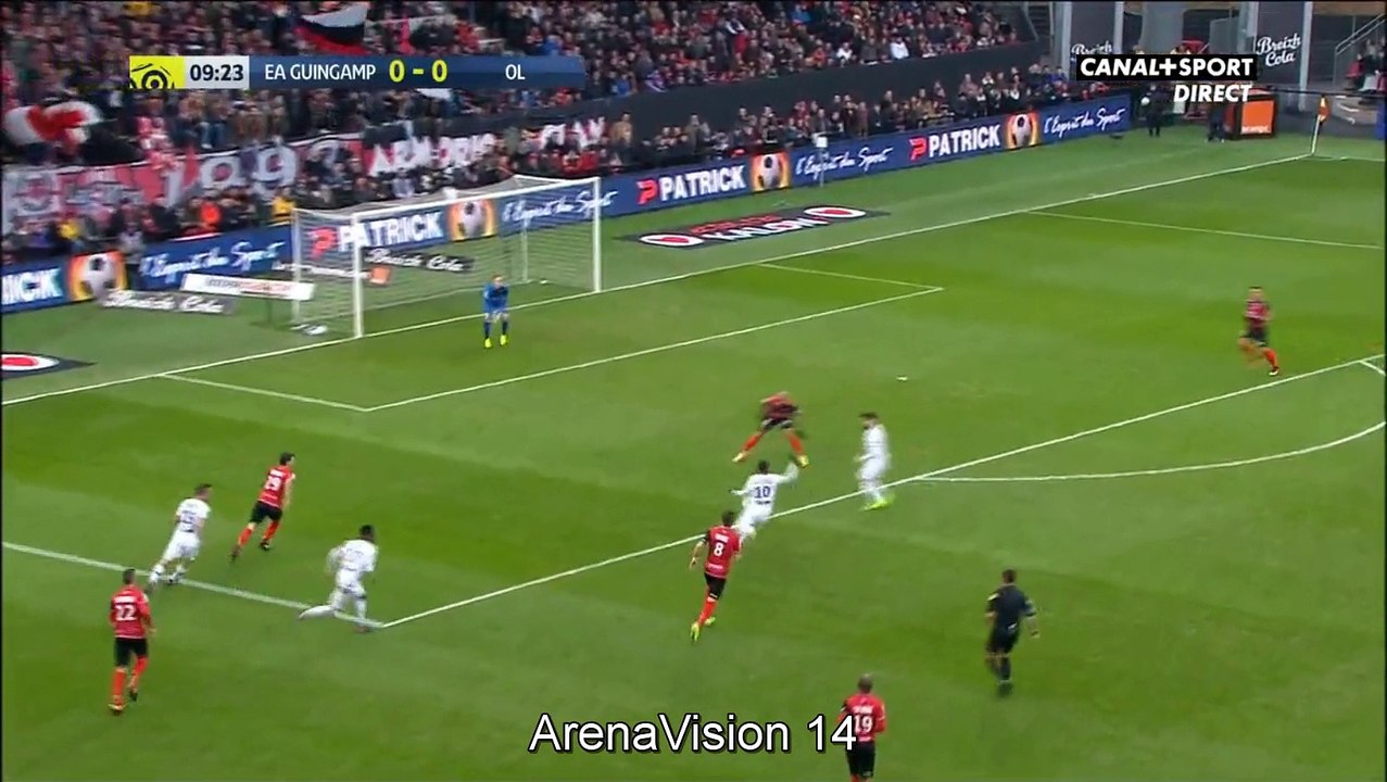 Guingamp 0-1 Olympique Lyon 11-02-2017