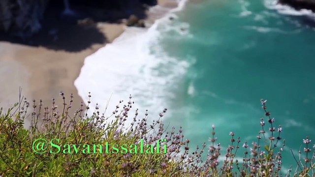 الواضحية ابن بهيج الأندلسي في مدح أم المؤمنين عائشة