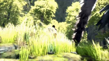 The Last Guardian™_2017
