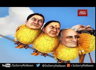 So Sorry  Bengal s Angry Birds Part 2